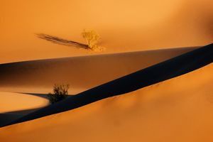 shapes of  desert 10