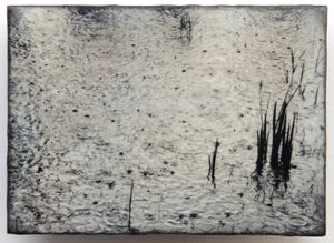 Rain, 2013