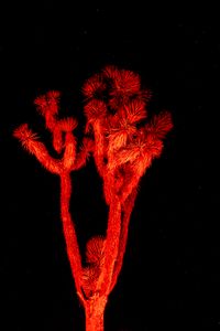 Endemic Power