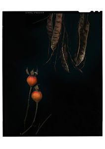 © Jeff Moorfoot