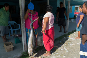 Impact of overfishing #12