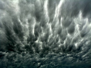 Sky 6