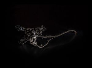 found things -2