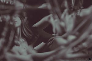 Coalescence 11