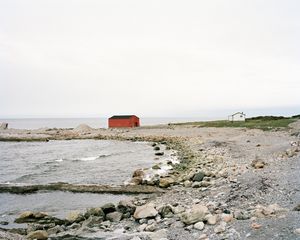 Fish Store, C-print, 24"x30"