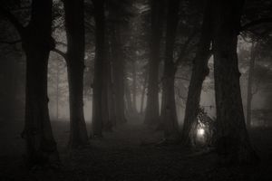 Ignis Fatuus, Study 1