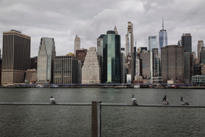 Hushaby Metropolis