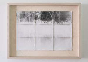 Pinhole Studies [riverscapes 005] © Meghan Duda 2014