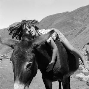 Untitled. Vallee D'Ossau.