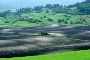 Terra Galicia