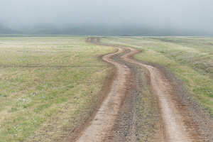 TOWARDS THE RAIN