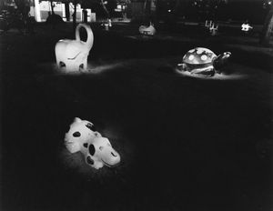 animals