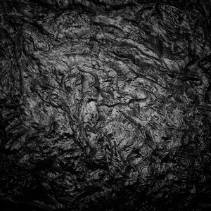 Dark Waters