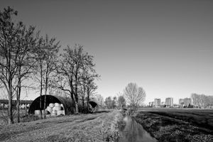 Milan Borerland #4