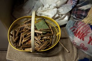 © Maria Clara Pereira