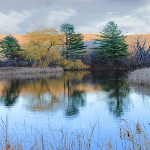 Vermont