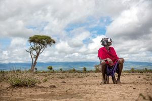How does it feel to walk through the dry savanna with Masaai and his goats in Africa?