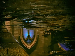 Reflection of ND Basilica