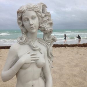 THE VENUS PROJECT