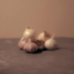 Still life with garlic and onions