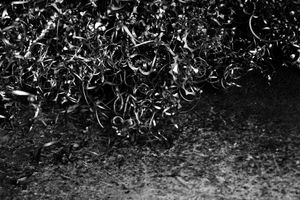 Dichotomy of Existence 07