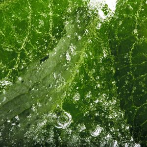 State of matter