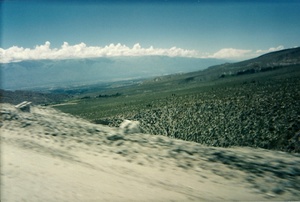 Camino a Cafayate. Salta. Argentina