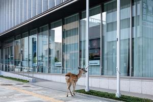 7/19/2020_In front of a bank
