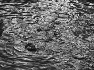Beside the water II
