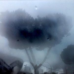 Trees I