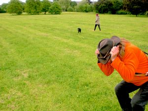 "ONE DAY IN A DOG PARC" "EINMAL AUF EINER HUNDEWIESE"