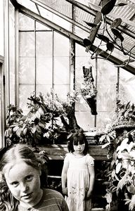 Girls/Greenhouse