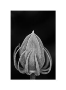 Untitled #23