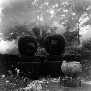 Topiary Pair, Chateau de Rochefort-en-Terre