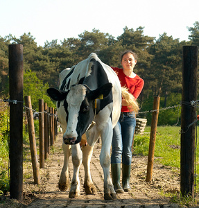 Cookbook ' Keukengeheimen uit het Vechtdal ' 12 farmers, 4 chefs, 36 recipes