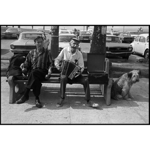 'Maracas, Harmonica, Accordion, Dog' 1979