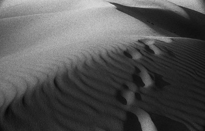 Dune #4