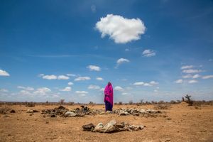 Dying Somalia