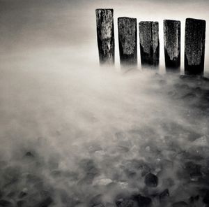 Wooden Posts Study Two