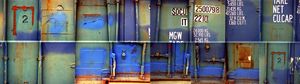 “Blue 2 (Tara_#20-21)”, dalla serie “Tara”, 2005