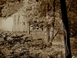 © Mildred Alpern