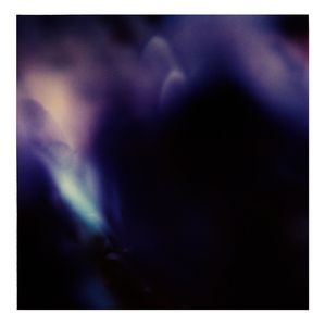 Twilight | The Secret Life of Plants I