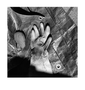 Glove