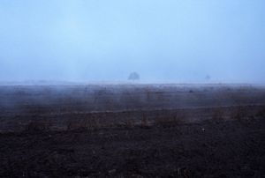 March fields in the Powiśle Area. Poland.