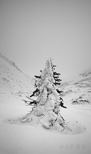 High Mountain Scenes-9