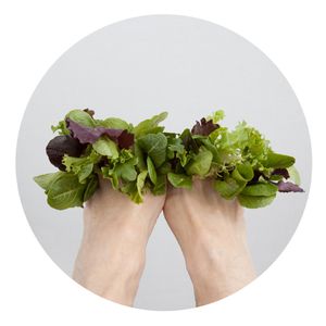 the transmigration of dream into salad © Barbara Ciurej And Lindsay Lochman