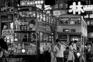 Bus or Tram
