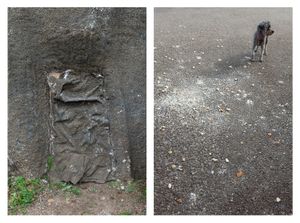 Doorway in Rock & Poodle with Crumbs