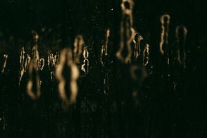 Deep Inside III #6