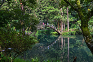 Bamboo Bridge, Taiwan
